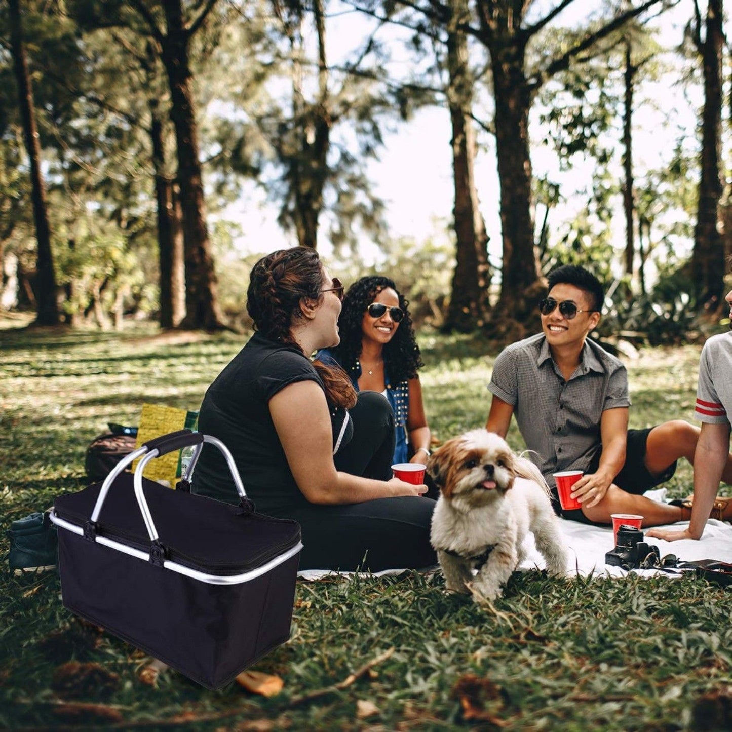 30L Insulated Picnic Basket Cooler Collapsible Food Delivery Storage Bag Grocery Market Basket Heat & Cool Insulation w/ Aluminum Handles Ban on Amazon sales